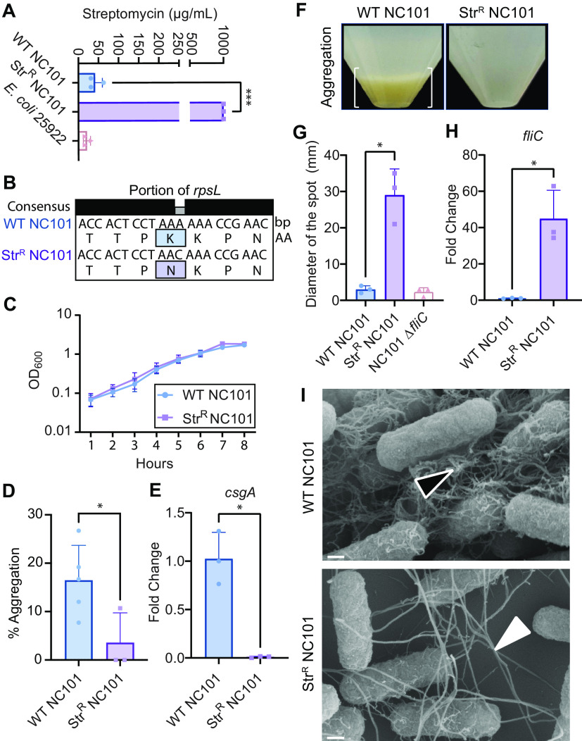 FIG 1