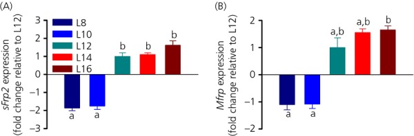 Figure 5