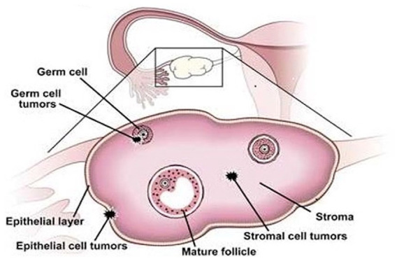 Figure 3.