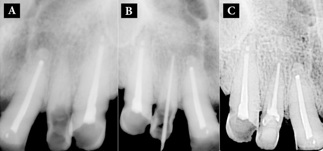 Figure 2.