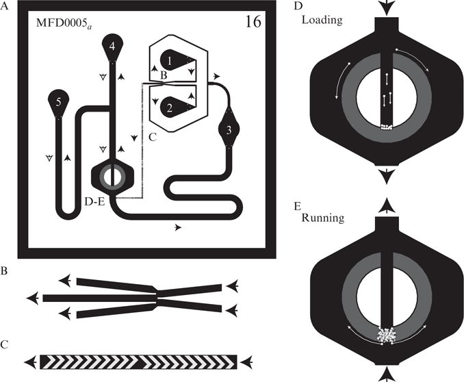 Figure 14.4