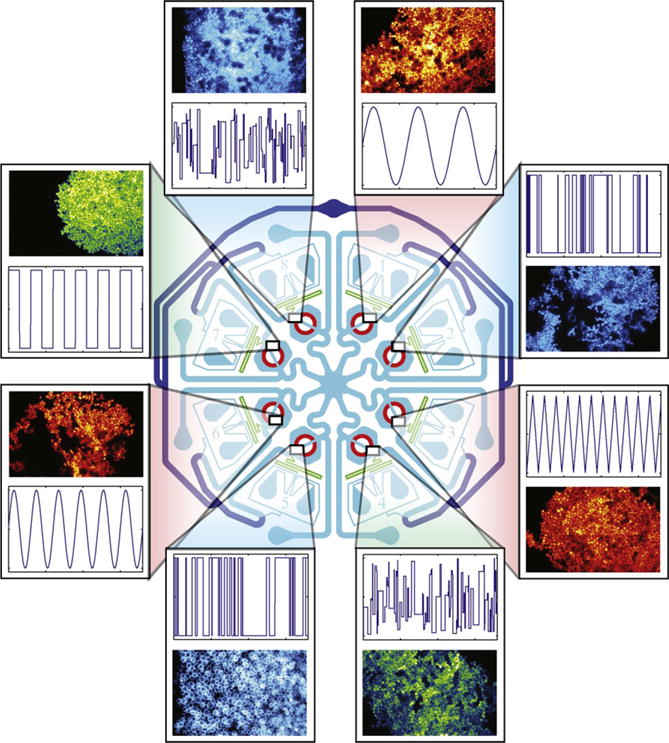 Figure 14.9