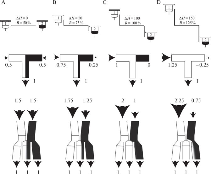 Figure 14.6