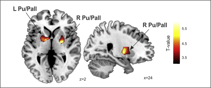 Fig. 3