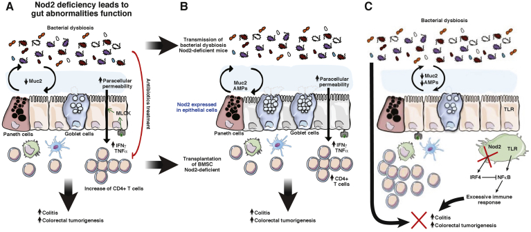 Figure 3