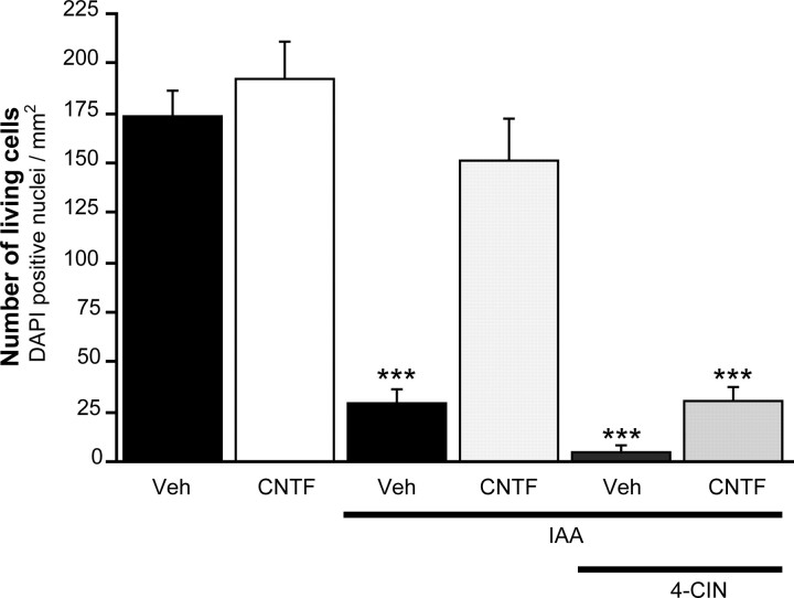 Figure 10.