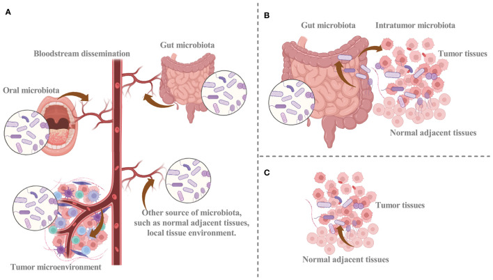 Figure 1