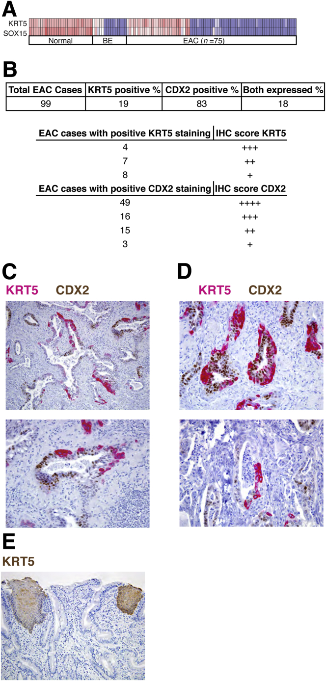 Figure 6