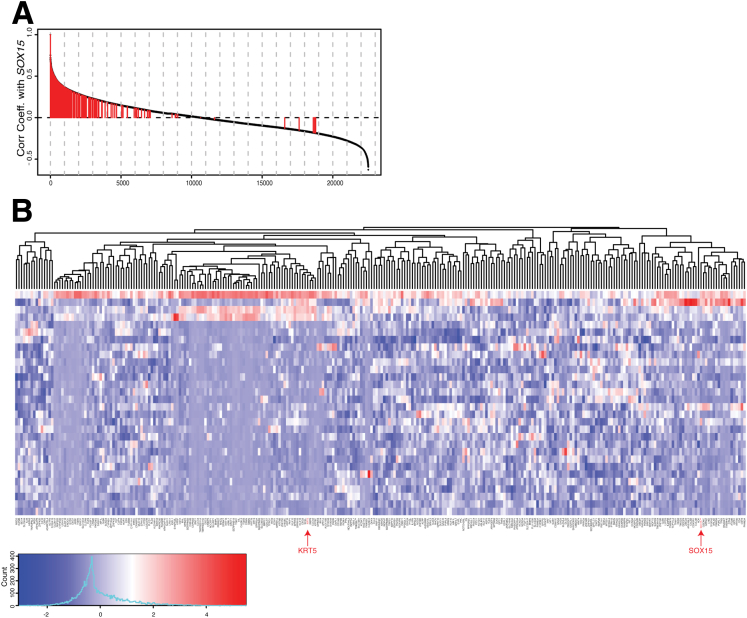 Supplementary Figure 1