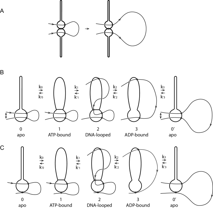 Figure 7.