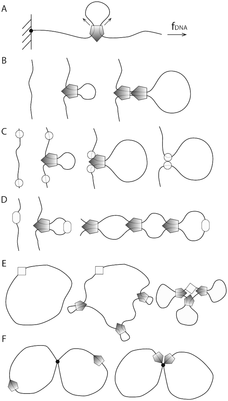 Figure 8.