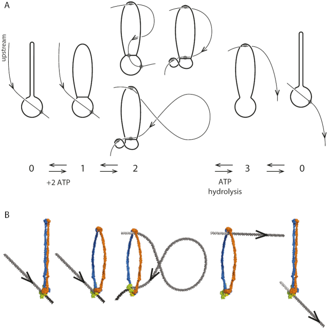 Figure 4.