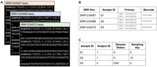 Figure 2: