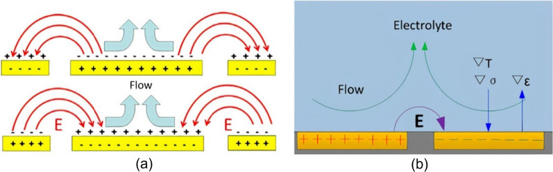 Fig. 10