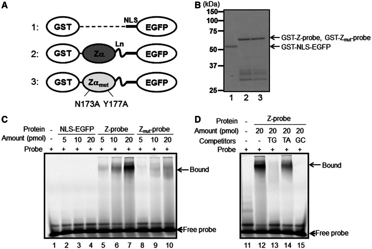 Figure 2.