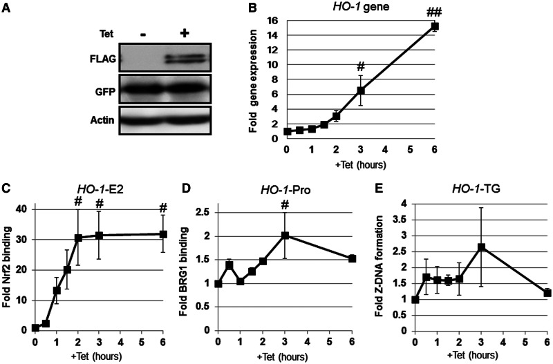 Figure 9.