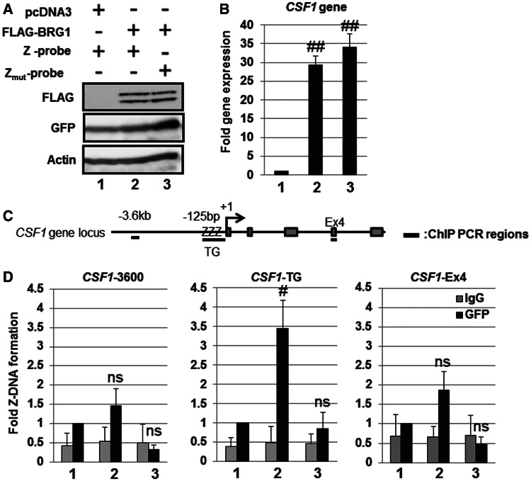 Figure 4.