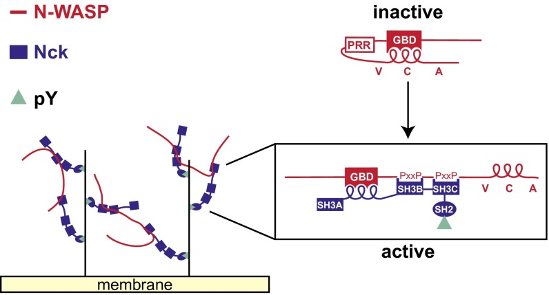 Fig. 6.