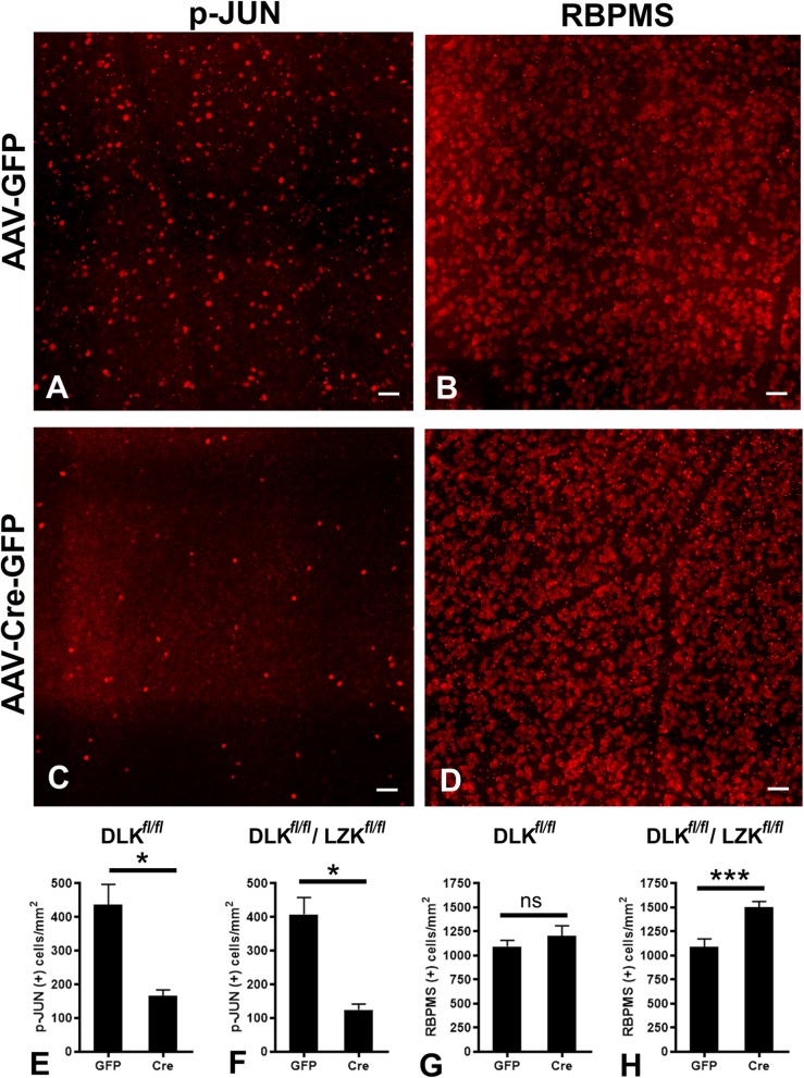 Fig. 9