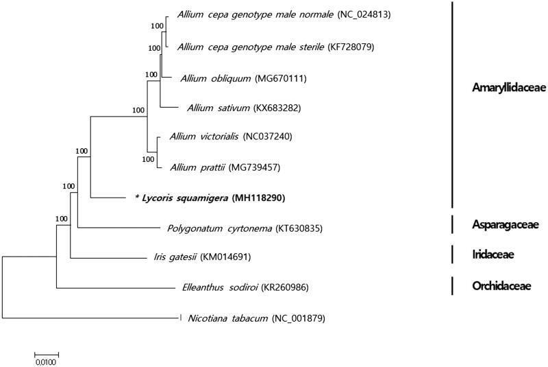 Figure 1.