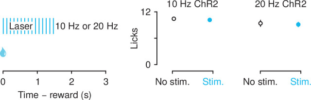 Figure 6—figure supplement 2.