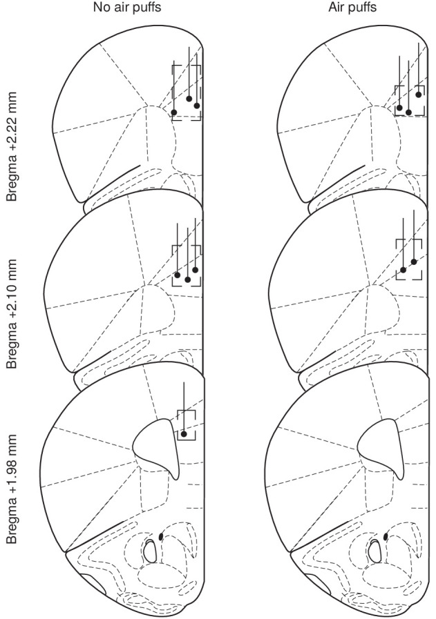 Figure 2—figure supplement 1.