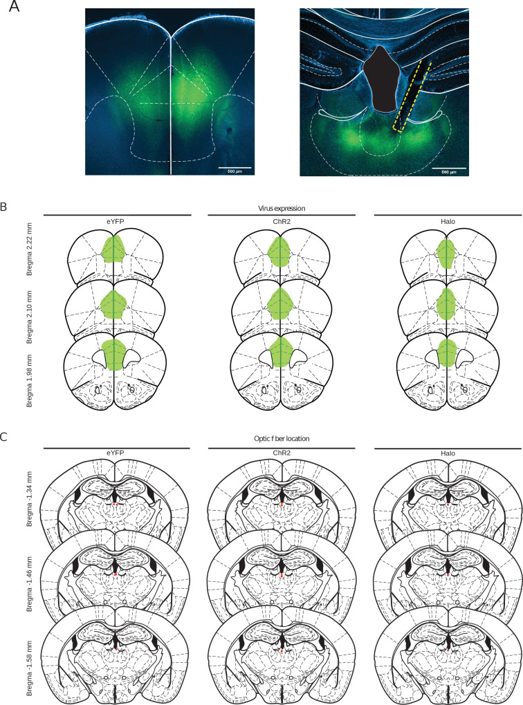 Figure 6—figure supplement 1.