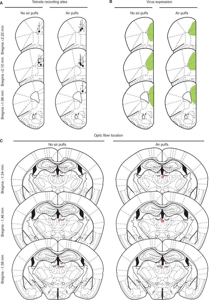 Figure 4—figure supplement 1.