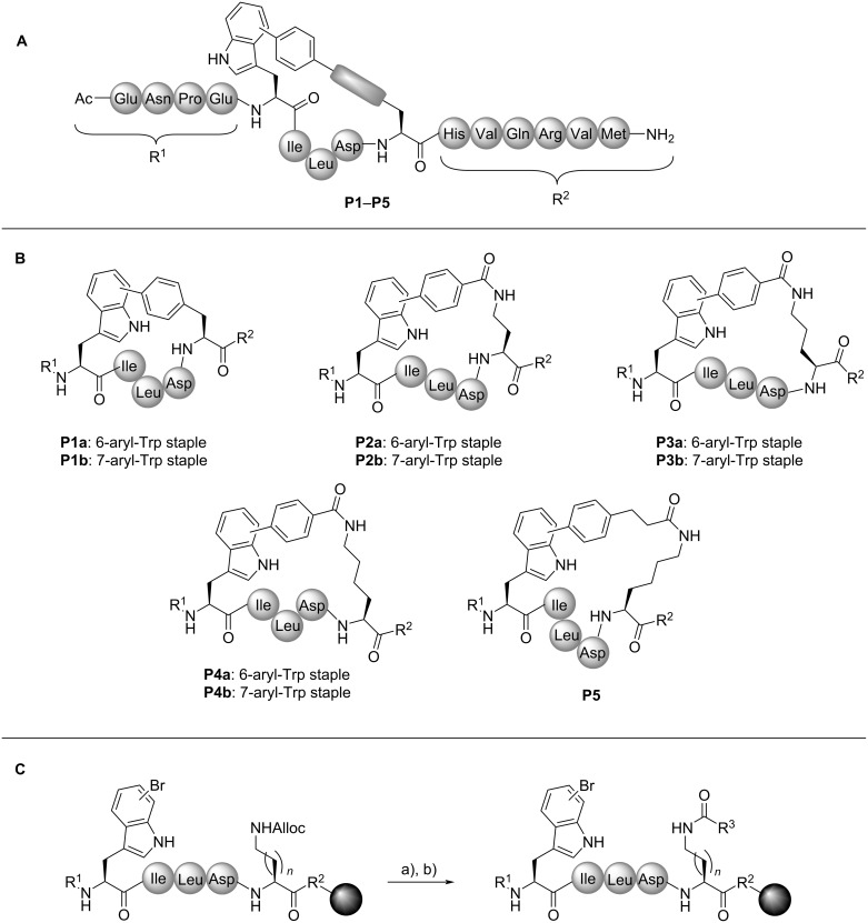 Scheme 2