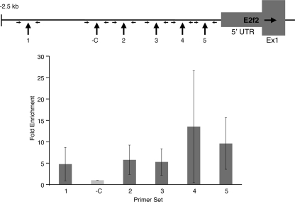 FIG. 6.