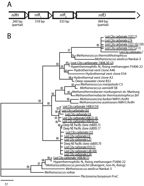 FIG 4 