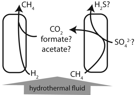 FIG 5 