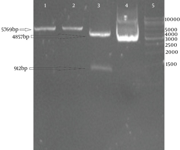 Figure 5.