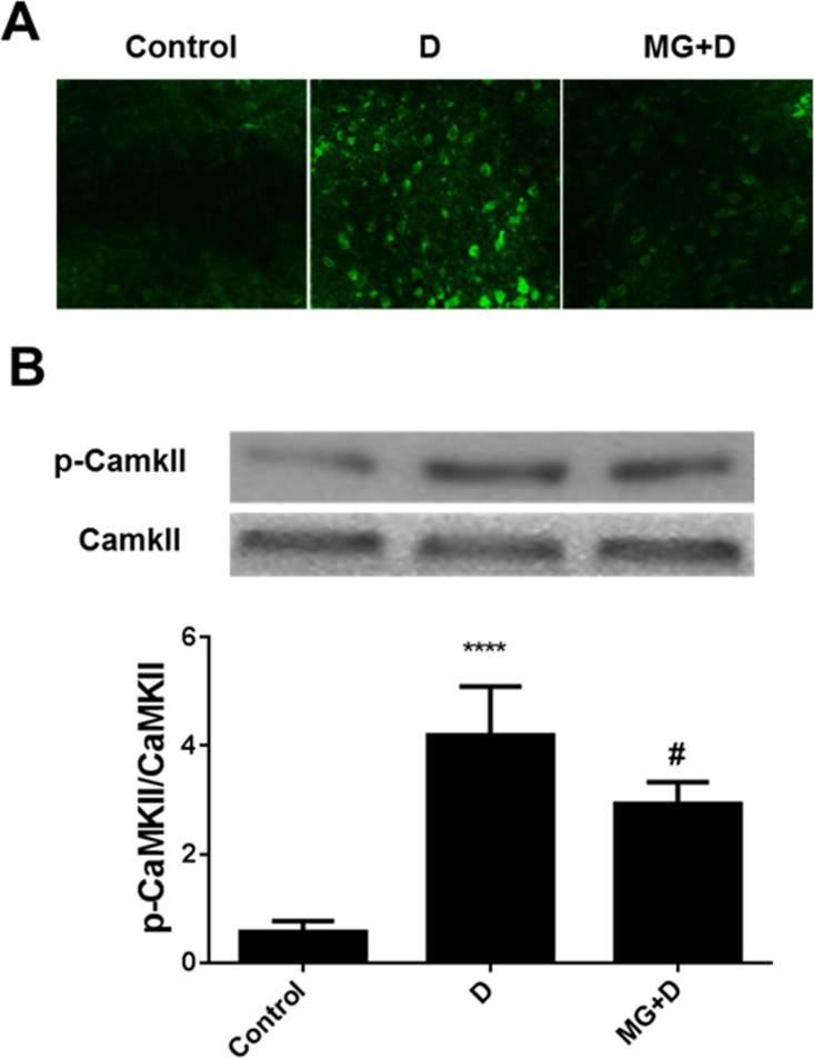 Fig 4