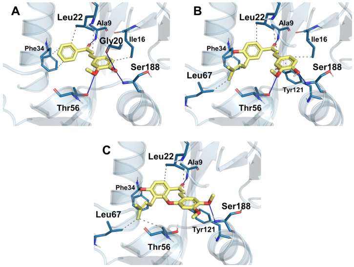 Figure 4