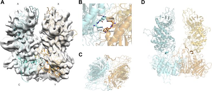 Figure 7