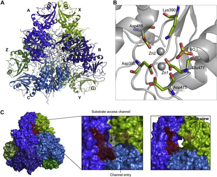 Figure 5