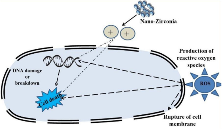 Fig. 10