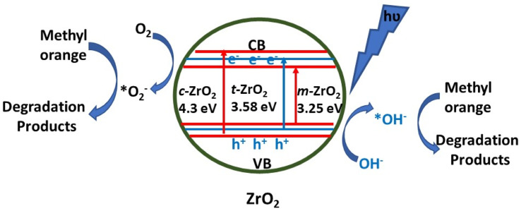 Fig. 8