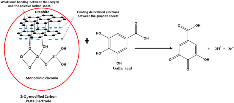 Fig. 14