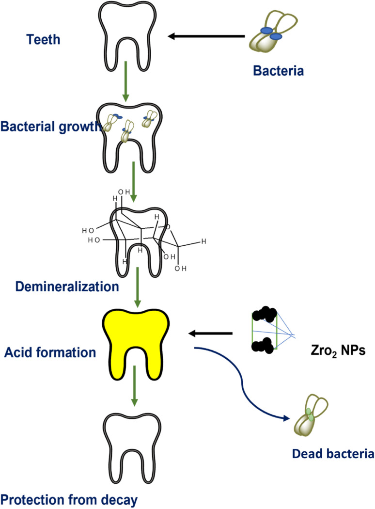 Fig. 12