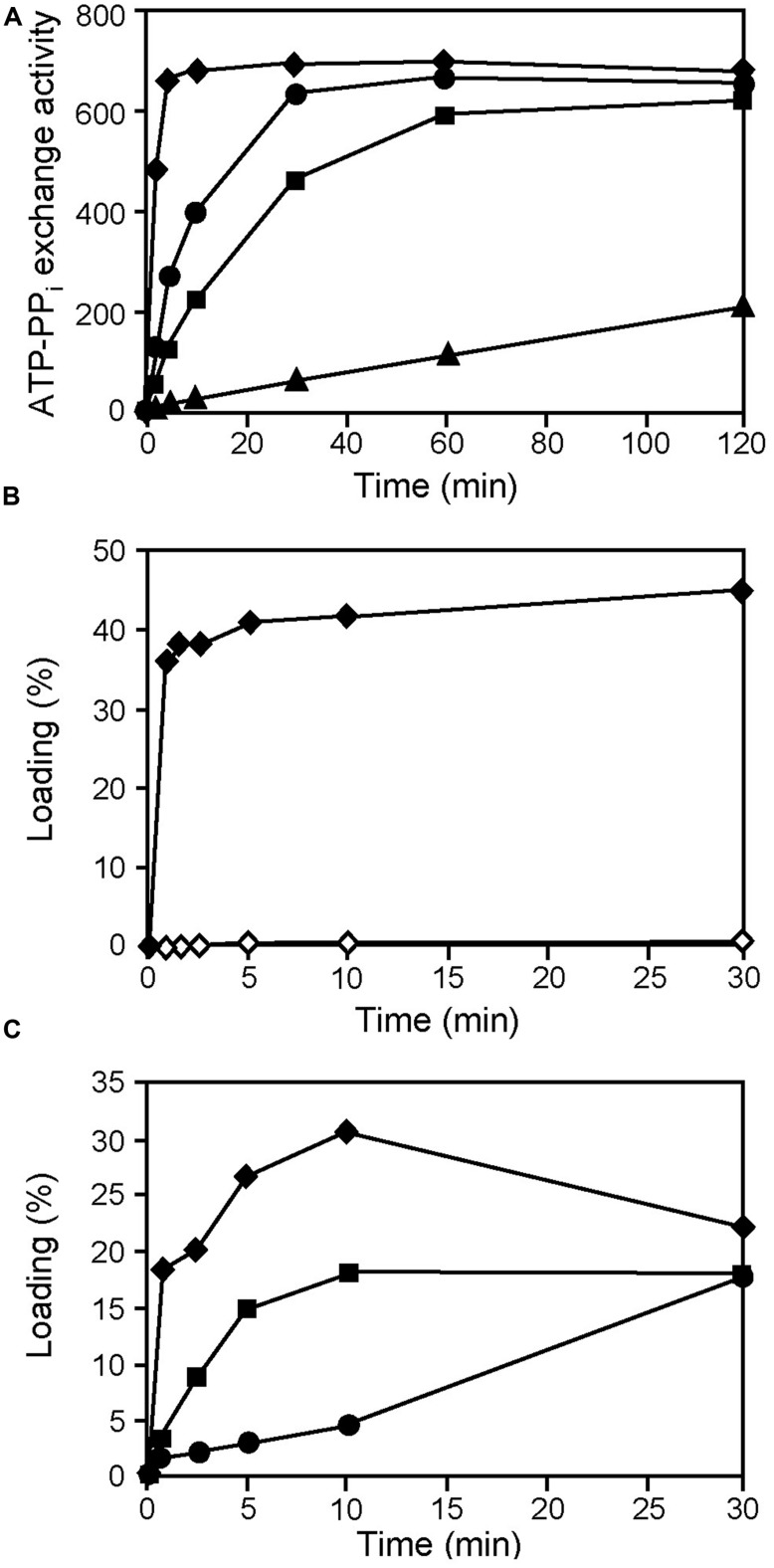 FIGURE 3