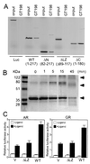 FIG. 8.