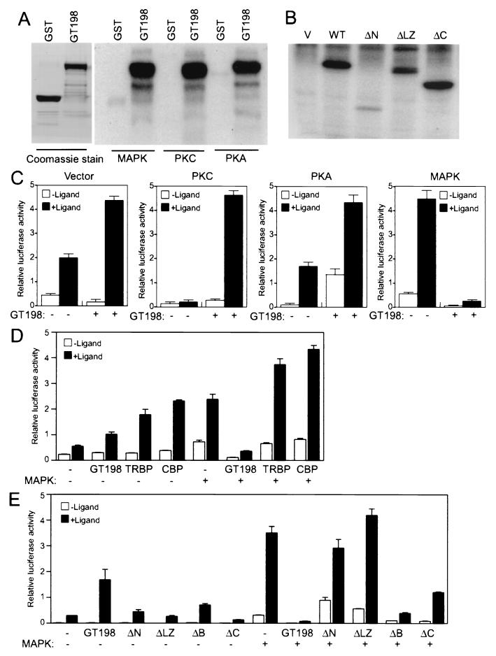 FIG. 9.