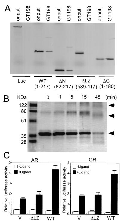 FIG. 8.