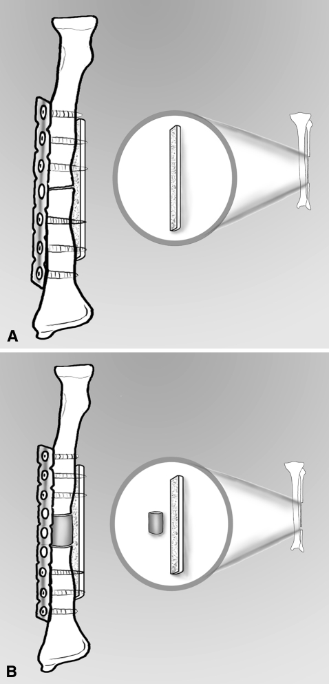 Fig. 2A–B