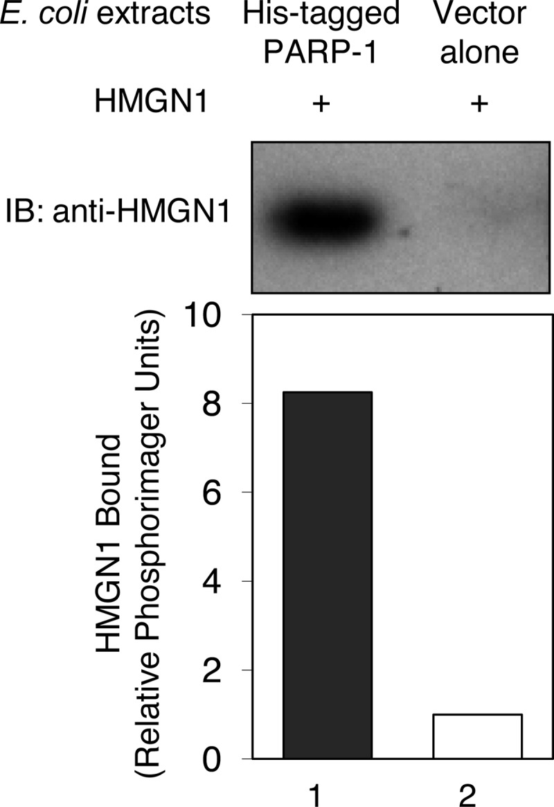 FIGURE 9.