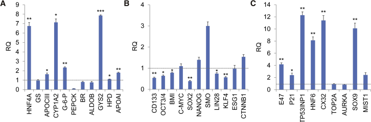 Figure 6