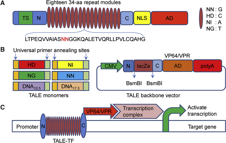 Figure 2