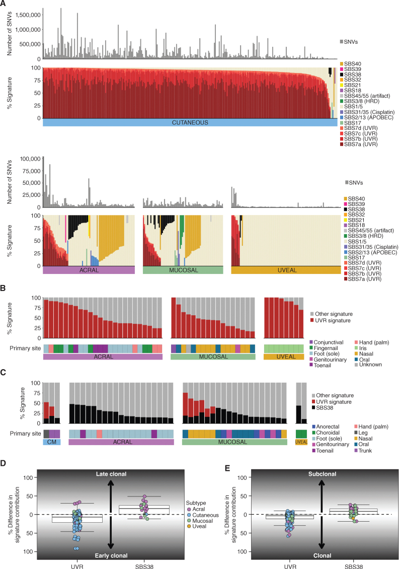 Figure 2. Mutational signatures. A, The number of SNVs and proportion of SBS signatures in each melanoma subtype. If the etiology for a signature is known, this is listed in parentheses after the signature name. HRD, homologous repair defect. B, The contribution of UVR signature and tumor primary site in non-CM tumors that have a UVR signature present (>0% UVR contribution). C, The contribution of SBS38 in each subtype in tumors that have an SBS38 signature present (>0% SBS38 contribution). D, Difference per tumor between the percentage of early and late clonal mutations attributed to UVR or SBS38 mutational signatures. E, Difference per tumor between the percentage of clonal and subclonal mutations attributed to UVR or SBS38 mutational signatures.